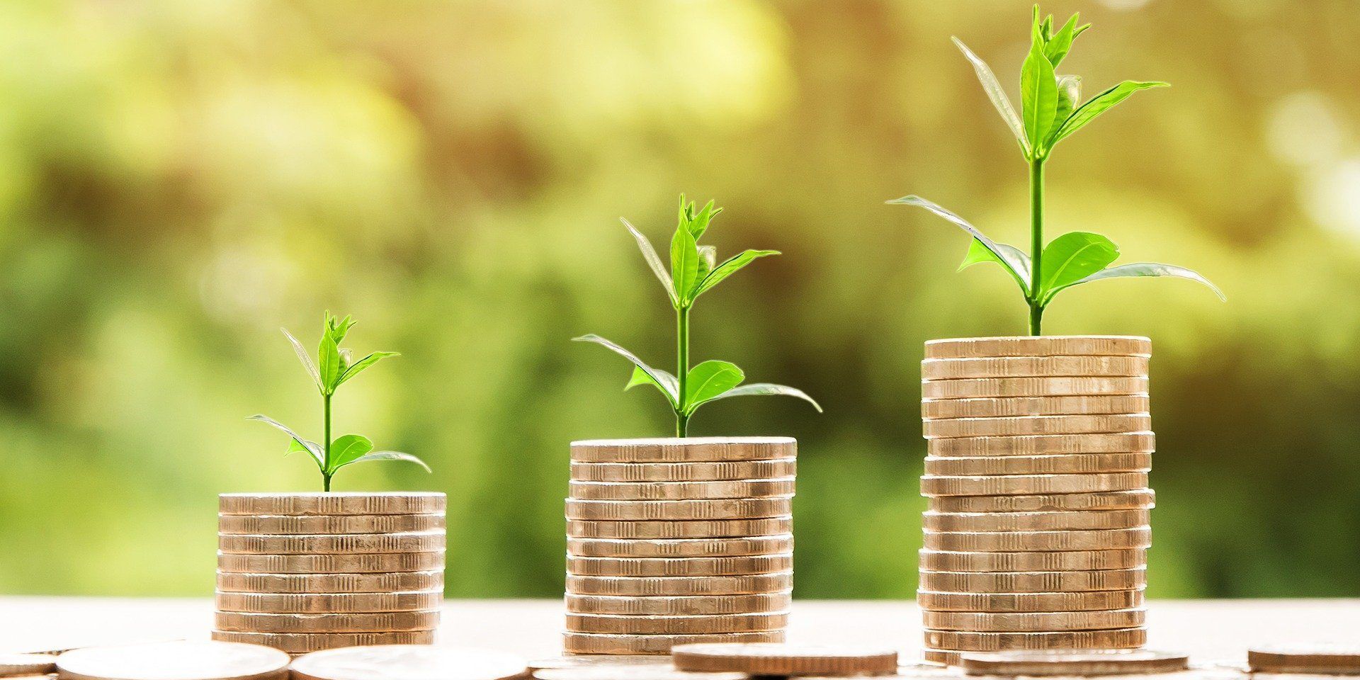 rescatar el plan de pensiones